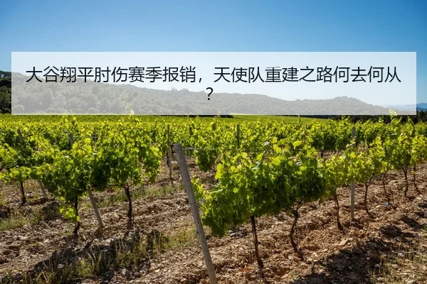 大谷翔平肘伤赛季报销，天使队重建之路何去何从？