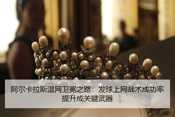 a-er-ka-la-si-wen-wang-wei-mian-zhi-lu-fa-qiu-shang-wang-zhan-shu-cheng-gong-lv-ti-sheng-cheng-guan-jian-wu-qi-2-314.jpg