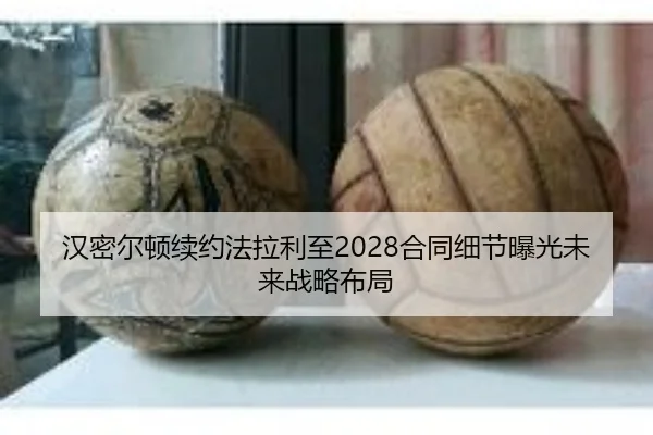 han-mi-er-dun-xu-yue-fa-la-li-zhi-he-tong-xi-jie-bao-guang-wei-lai-zhan-lve-bu-ju-3-526.jpg